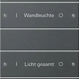 GIRA 220628 TS3-Wippenset für Beschr.-Service System 55 6-fach (3+3) | anthrazit