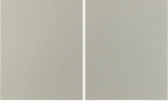 BERKER 85146173 KNX-RF-Taste quicklink S.1/B.3/B.7 2-fach | edelstahl matt lackiert