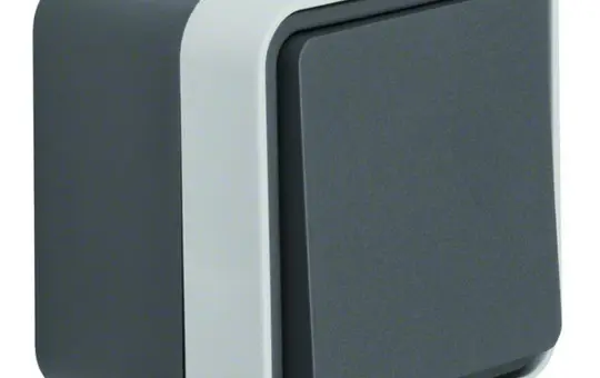 BERKER 30773505 Aufputz-Wippschalter W.1 Kreuzschalter | grau/lichtgrau matt