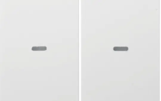 BERKER 80960389 Abdeckung für Tastsensor S.1/B.3/B.7 2-fach | polarweiß glänzend