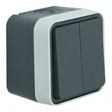 BERKER 50753515 Aufputz-Wipptaster W.1 2 Wechsler, getrennte Klemmen | grau/lichtgrau matt