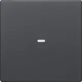 BERKER 80960226 Abdeckung für Tastsensor Q.1/Q.3 1-fach | anthrazit samt lackiert