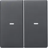 BERKER 80960326 Abdeckung für Tastsensor Q.1/Q.3 2-fach | anthrazit samt lackiert