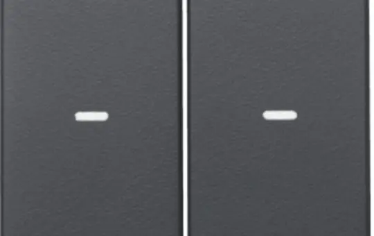 BERKER 80960326 Abdeckung für Tastsensor Q.1/Q.3 2-fach | anthrazit samt lackiert