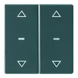 BERKER 80961326 Abdeckung für Tastsensor Q.1/Q.3 2-fach, Pfeile | anthrazit samt