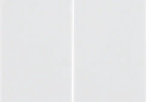 BERKER 85142129 Elektronik-Taste Serie Q 2-fach | polarweiß samt