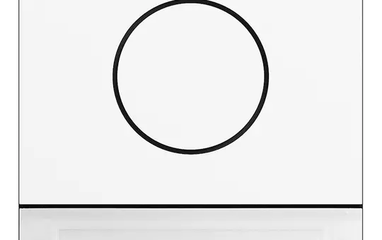 GIRA 5569902 TKS-Modul System 106 Türstationsmodul m. Inbetriebnahmetaste | verkehrsweiß (lackiert)