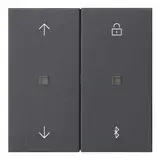GIRA 536728 Jalousie- und Schaltuhr System 3000 System 55 Bluetooth, Pfeile | anthrazit