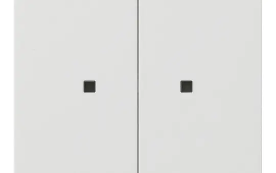 GIRA 5369112 Bedienaufsatz System 3000 System Fläche 2-fach, LEDs | reinweiß glänzend