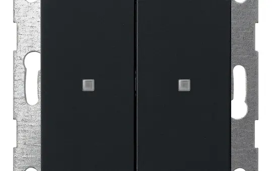 GIRA 5173005 KNX-Tastsensor System 55 2-fach | schwarz matt