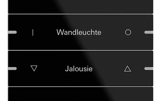 GIRA 503405 Wippenset beschreibbar für Tastsensor 4 4-fach | glas schwarz
