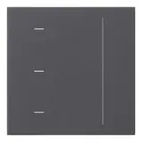 GIRA 536528 Touchaufsatz System 3000 System 55 anthrazit