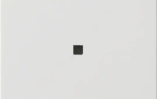 GIRA 538203 Bluetooth-Bedienaufsatz System 3000 System 55 1-fach, Pfeile | reinweiß glänzend