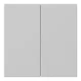 GIRA 5362015 Bluetooth-Bedienaufsatz System 3000 System 55 2-fach | grau matt