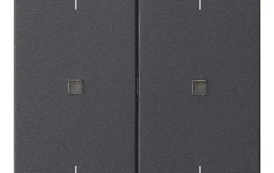 GIRA 538628 beschr. Kontrollabdeckung System 3000 System 55 2-fach, Pfeile | anthrazit