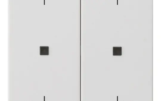 GIRA 538627 beschr. Kontrollabdeckung System 3000 System 55 2-fach, Pfeile | reinweiß seidenmatt