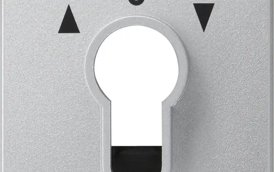 GIRA 066426 Schlüsselschalter-Abdeckung System 55 Pfeile | alu