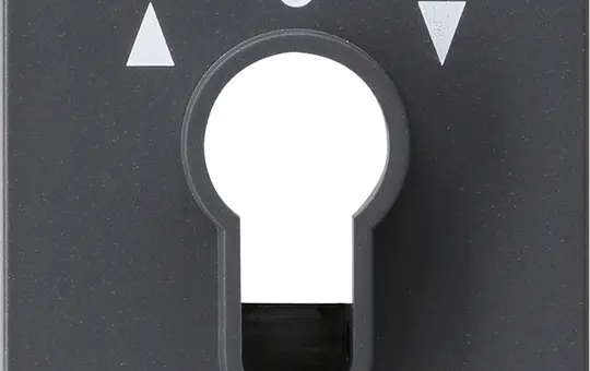 GIRA 066428 Schlüsselschalter-Abdeckung System 55 Pfeile | anthrazit