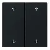 GIRA 5387005 beschr. Abdeckung System 3000 System 55 2-fach, Pfeile | schwarz matt