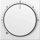 GIRA 270627 RTR-Abdeckung System 55 Standard | reinweiß seidenmatt