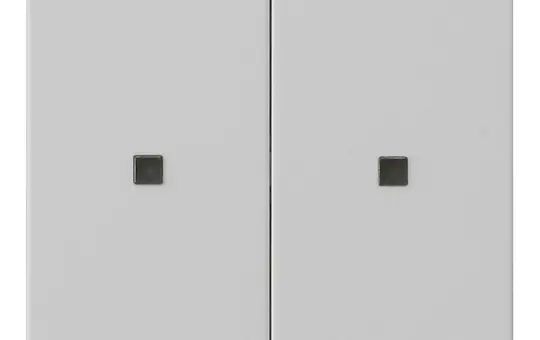 GIRA 5369015 Kontrollabdeckung System 3000 System 55 2-fach | grau matt