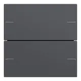 GIRA 575228 Wippenset für Tastsensor 4 System 55 2-fach | anthrazit