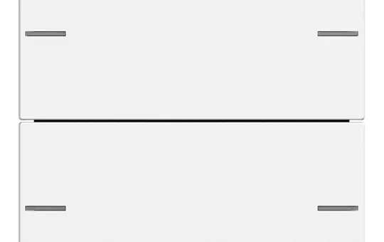 GIRA 575227 Wippenset für Tastsensor 4 System 55 2-fach | reinweiß seidenmatt