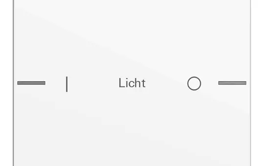 GIRA 576103 Wippenset ind. für Tastsensor 4 System 55 1-fach | reinweiß glänzend