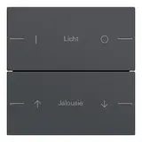 GIRA 576228 Wippenset ind. für Tastsensor 4 System 55 2-fach | anthrazit