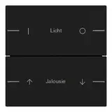 GIRA 5762005 Wippenset ind. für Tastsensor 4 System 55 2-fach | schwarz matt