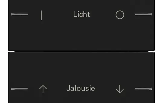 GIRA 5762005 Wippenset ind. für Tastsensor 4 System 55 2-fach | schwarz matt