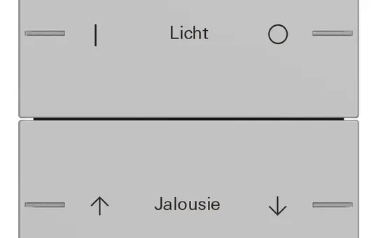 GIRA 5762015 Wippenset ind. für Tastsensor 4 System 55 2-fach | grau matt