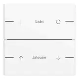 GIRA 576203 Wippenset ind. für Tastsensor 4 System 55 2-fach | reinweiß glänzend