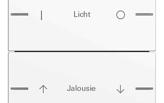 GIRA 576203 Wippenset ind. für Tastsensor 4 System 55 2-fach | reinweiß glänzend