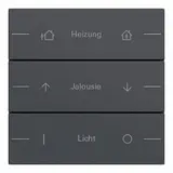 GIRA 576328 Wippenset ind. für Tastsensor 4 System 55 3-fach | anthrazit