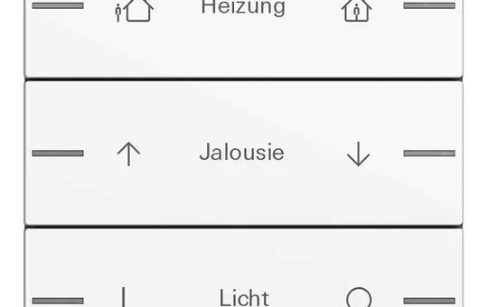 GIRA 576303 Wippenset ind. für Tastsensor 4 System 55 3-fach | reinweiß glänzend