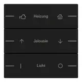 GIRA 5763005 Wippenset ind. für Tastsensor 4 System 55 3-fach | schwarz matt