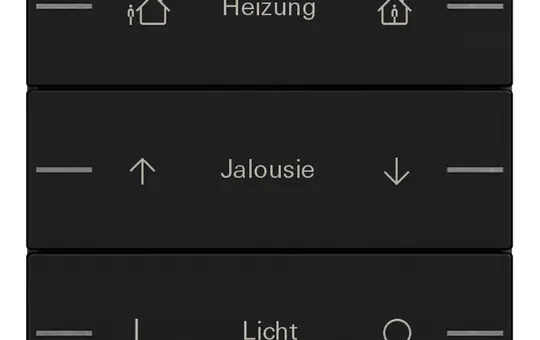 GIRA 5763005 Wippenset ind. für Tastsensor 4 System 55 3-fach | schwarz matt