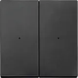 MERTEN 625214 Wippe für KNX-Taster System M 2-fach | anthrazit