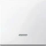 MERTEN 436019 Kontrollwippe System M 1-fach | polarweiß glänzend