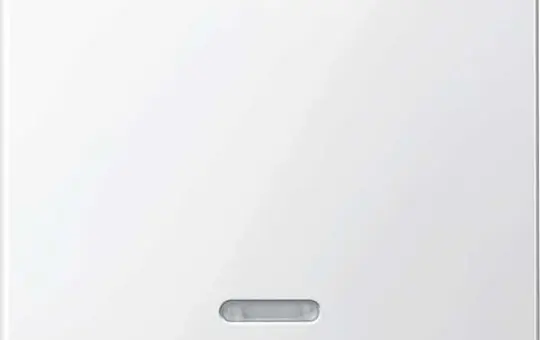 MERTEN 436019 Kontrollwippe System M 1-fach | polarweiß glänzend