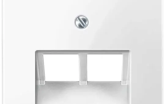 MERTEN 296119 Netzwerkabdeckung System M 2-fach | polarweiß glänzend