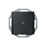 MERTEN 295614 Zentralplatte für Leitungsauslass System M anthrazit