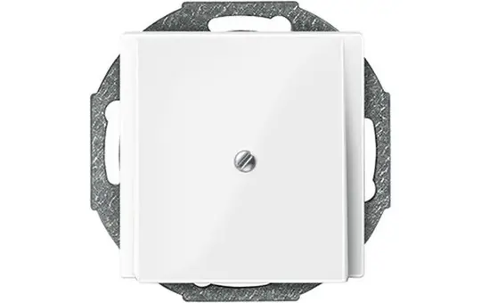 MERTEN 296319 Zentralplatte für Leitungsauslass System M polarweiß glänzend