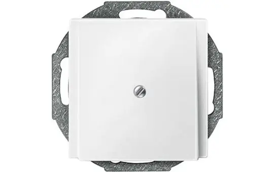 MERTEN 295619 Zentralplatte für Leitungsauslass System M polarweiß matt