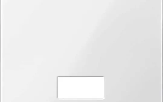 MERTEN 432819 beschr. Kontrollwippe System M 1-fach | polarweiß glänzend