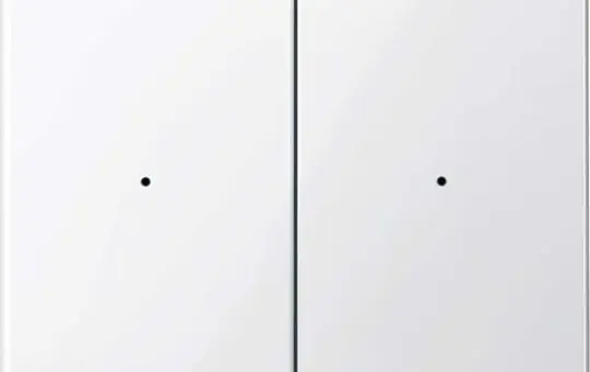 MERTEN MEG5220-0319 Wippe für Taster-Modul PlusLink System M 2-fach | polarweiß glänzend