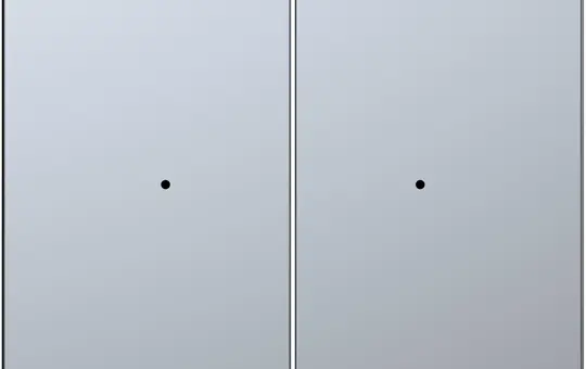 MERTEN MEG5220-6036 Wippe für Taster-Modul System Design 2-fach, Thermoplast | edelstahl