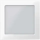 MERTEN Zentralplatte mit Sichtfenster System M 