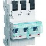 HAGER SLS-Schalter 3-polig Cs-Charakteristik 